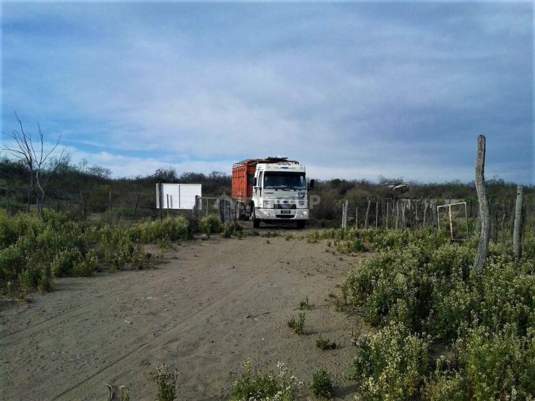 Campo en Venta en San Rafael, Mendoza