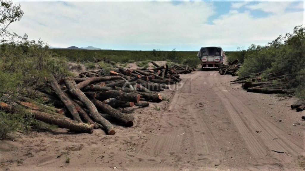Campo en Venta en San Rafael, Mendoza