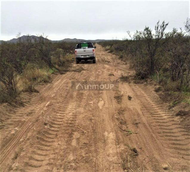 Campo en Venta en San Rafael, Mendoza