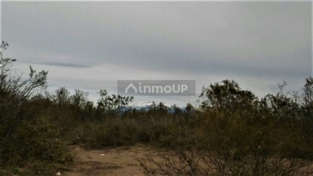 Campo en Venta en San Rafael, Mendoza