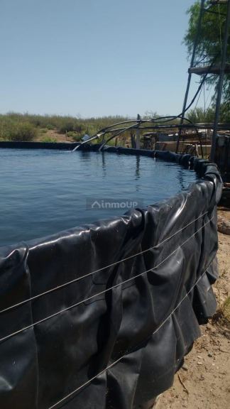 Campo en Venta en San Rafael, Mendoza