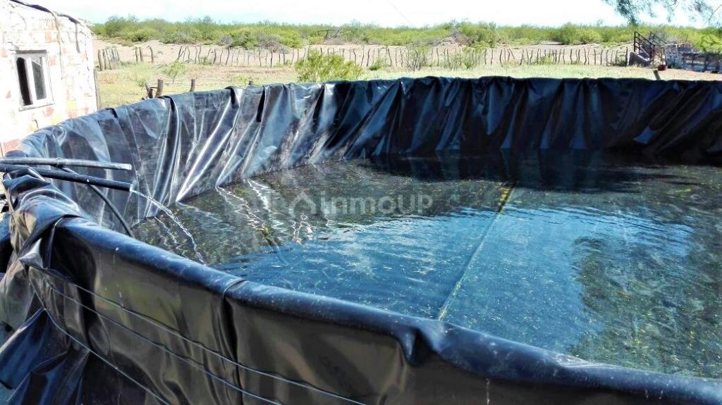 Campo en Venta en San Rafael, Mendoza