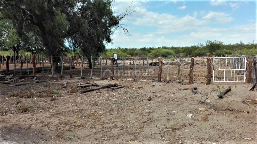 Campo en Venta en San Rafael, Mendoza