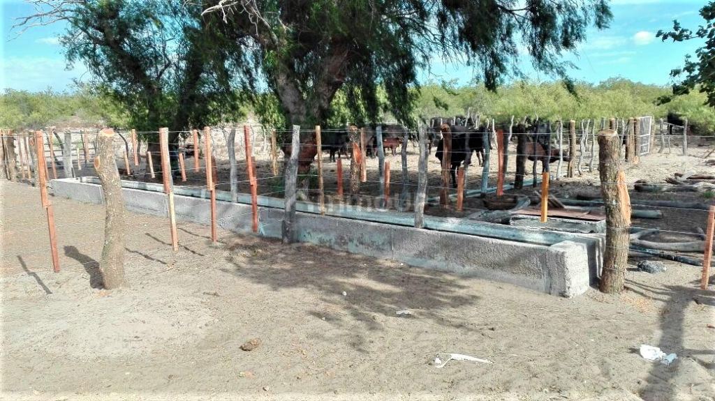 Campo en Venta en San Rafael, Mendoza
