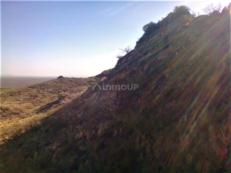 Campo en Venta en San Rafael, Mendoza