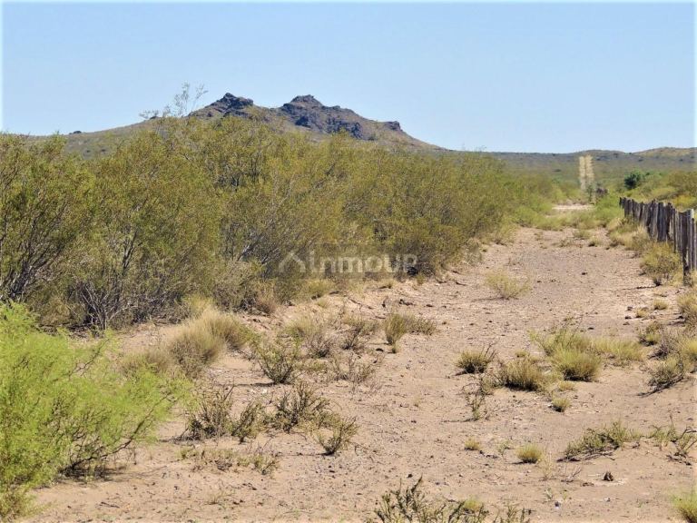 Campo en Venta en San Rafael, Mendoza