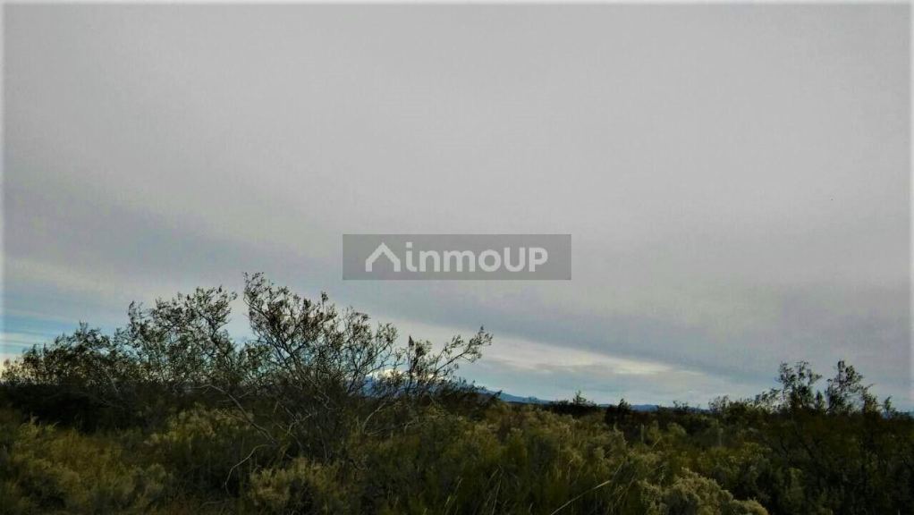 Campo en Venta en San Rafael, Mendoza