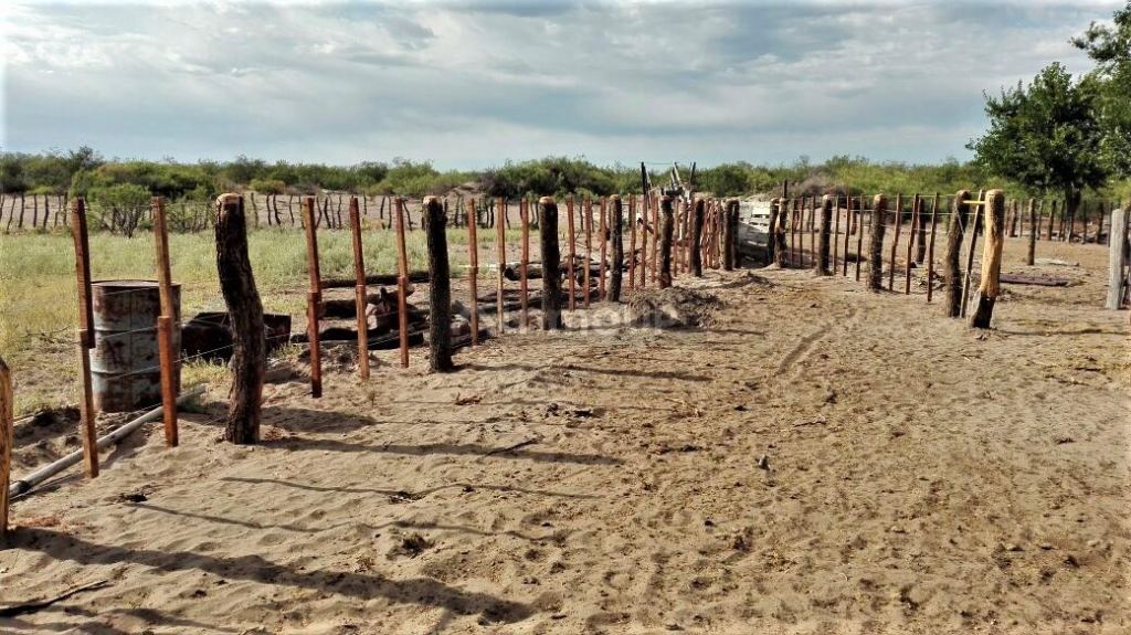 Campo en Venta en San Rafael, Mendoza