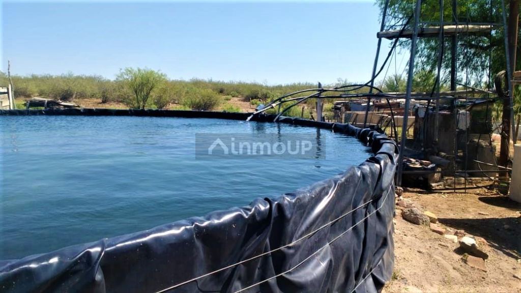 Campo en Venta en San Rafael, Mendoza
