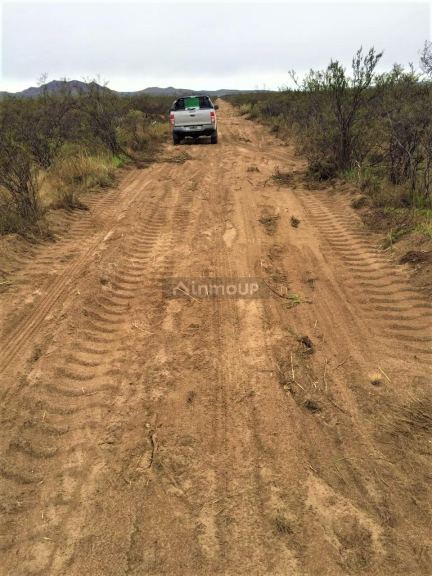 Campo en Venta en San Rafael, Mendoza