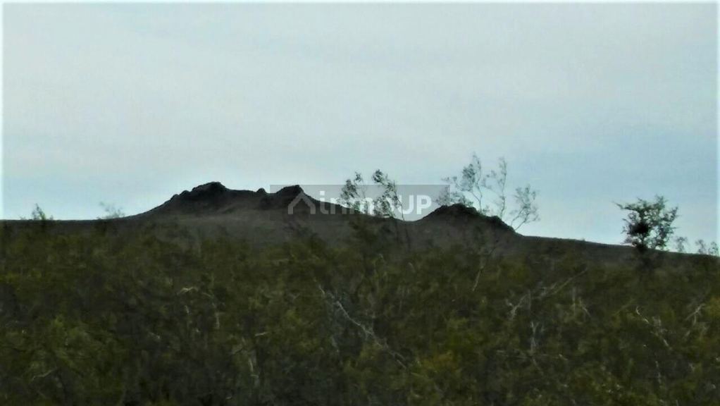Campo en Venta en San Rafael, Mendoza