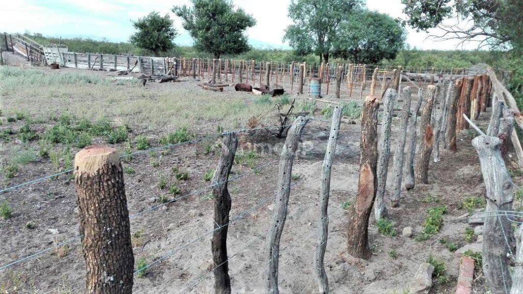 Campo en Venta en San Rafael, Mendoza