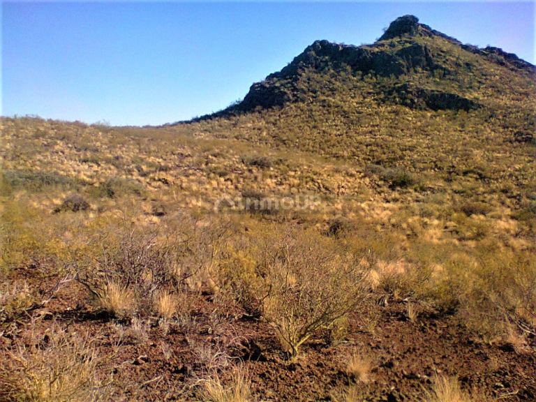 Campo en Venta en San Rafael, Mendoza