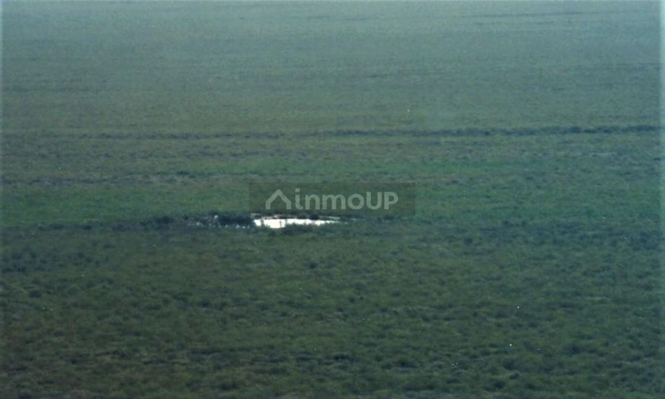 Campo en Venta en San Rafael, Mendoza