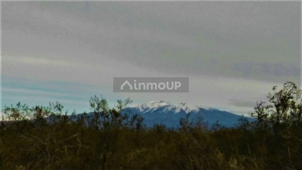 Campo en Venta en San Rafael, Mendoza