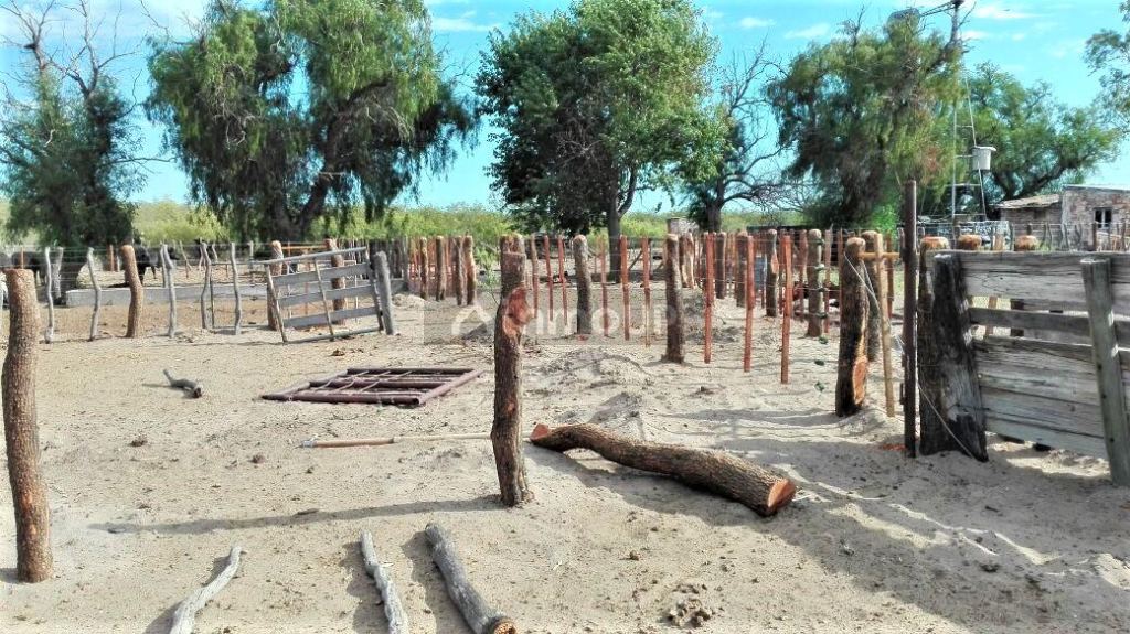 Campo en Venta en San Rafael, Mendoza