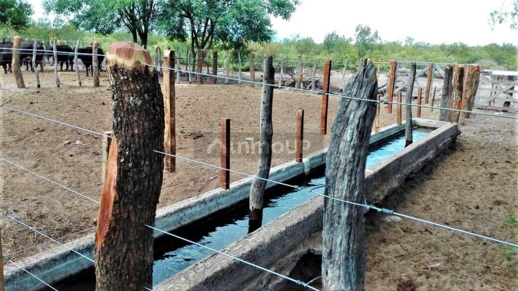Campo en Venta en San Rafael, Mendoza