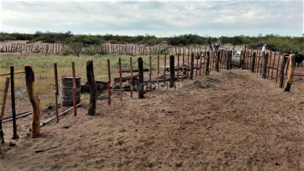 Campo en Venta en San Rafael, Mendoza