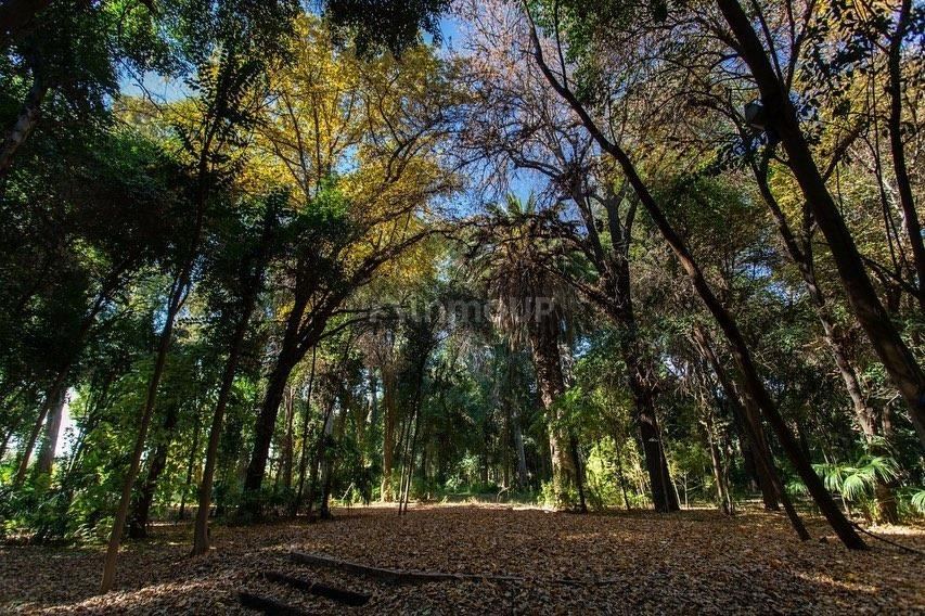 Lote en Venta en Maipu, Mendoza