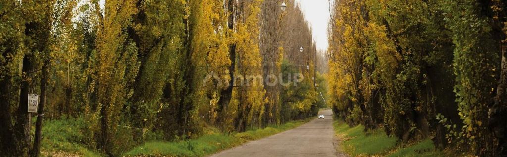 Lote en Venta en Lujan de Cuyo, Mendoza