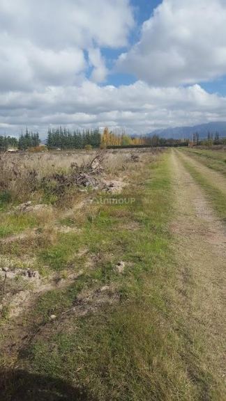 Lote en Venta en Lujan de Cuyo, Mendoza