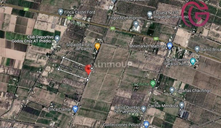 Finca en Venta en Maipu, Mendoza