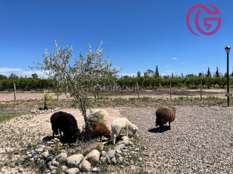 Cabaña en Venta en Maipu, Mendoza