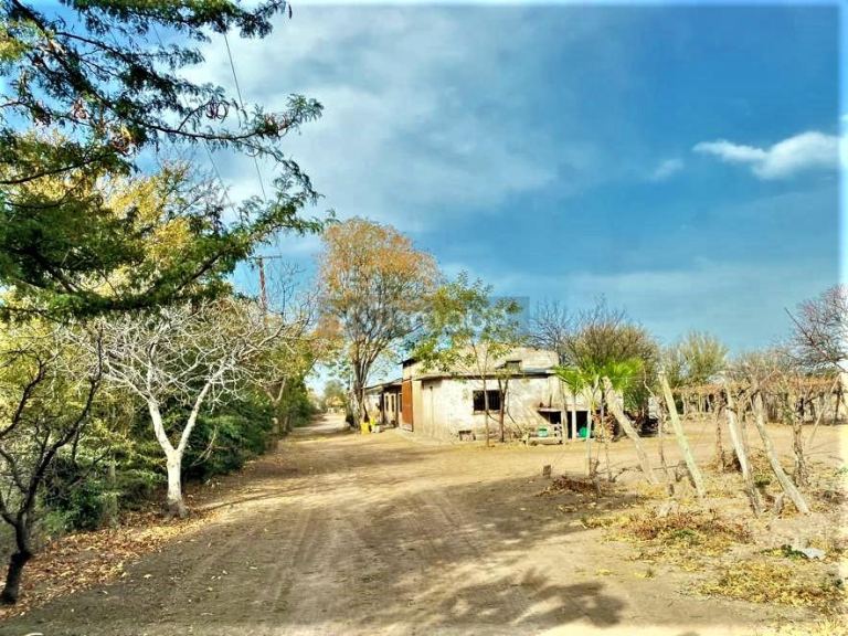 Finca en Venta en Lujan de Cuyo, Mendoza