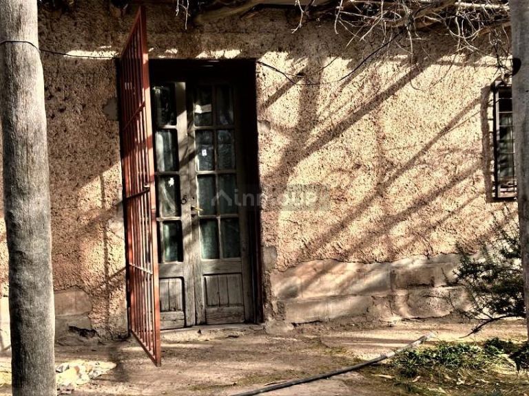 Finca en Venta en Lujan de Cuyo, Mendoza