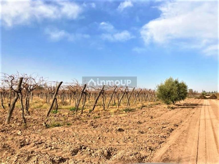 Finca en Venta en Lujan de Cuyo, Mendoza
