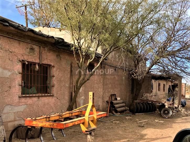 Finca en Venta en Lujan de Cuyo, Mendoza