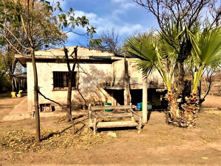 Finca en Venta en Lujan de Cuyo, Mendoza