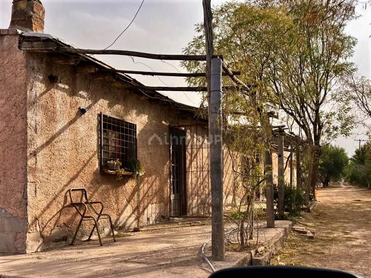 Finca en Venta en Lujan de Cuyo, Mendoza