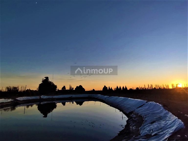 Finca en Venta en San Rafael, Mendoza