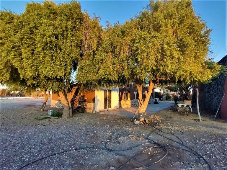 Finca en Venta en San Rafael, Mendoza