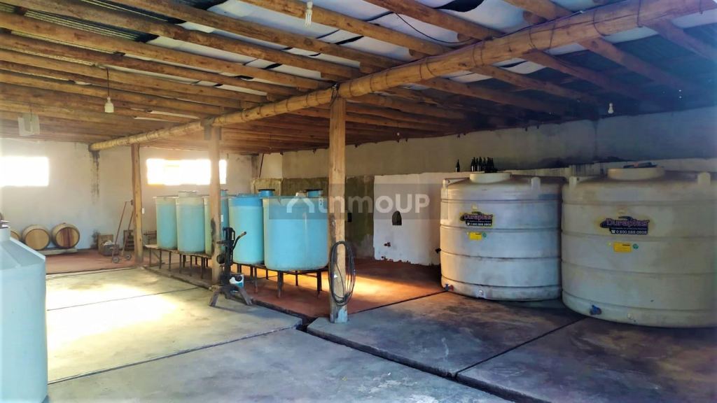 Finca en Venta en San Rafael, Mendoza