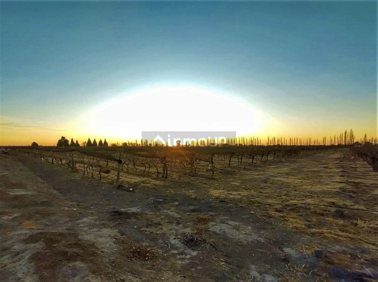 Finca en Venta en San Rafael, Mendoza