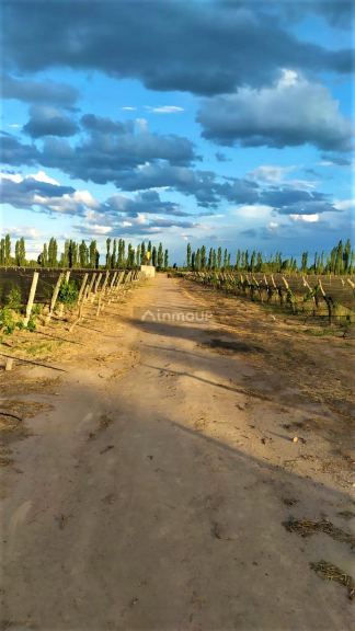 Finca en Venta en San Rafael, Mendoza