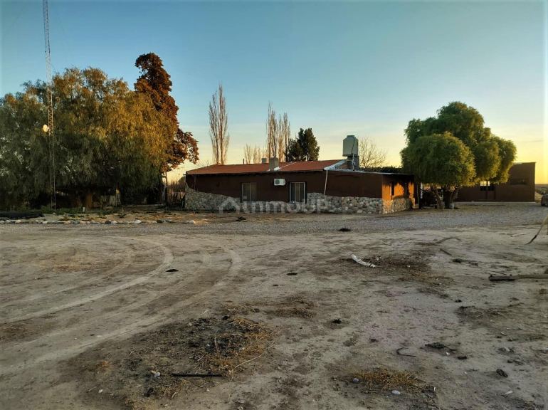 Finca en Venta en San Rafael, Mendoza
