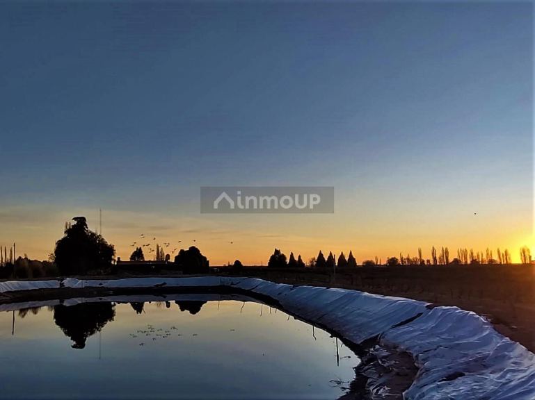 Finca en Venta en San Rafael, Mendoza