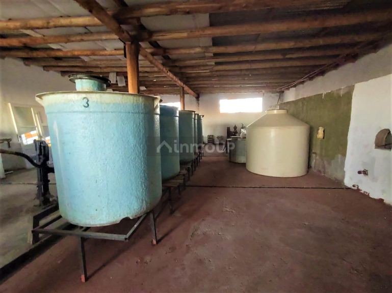 Finca en Venta en San Rafael, Mendoza