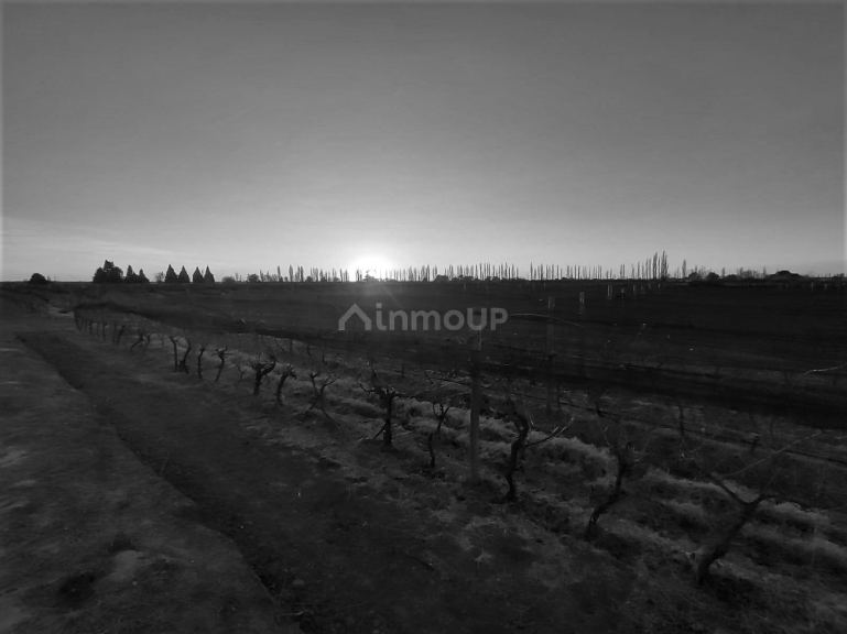 Finca en Venta en San Rafael, Mendoza