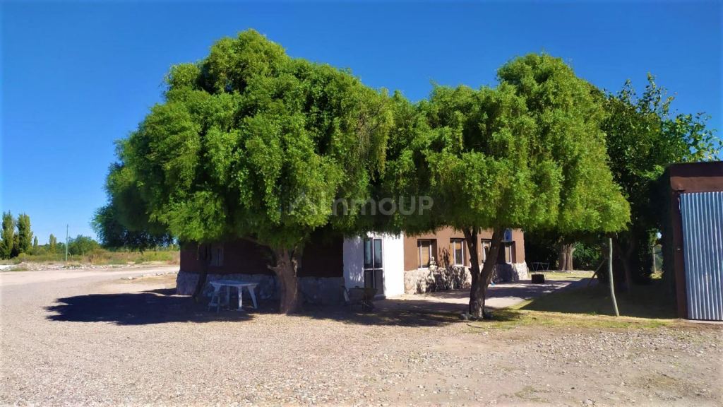 Finca en Venta en San Rafael, Mendoza