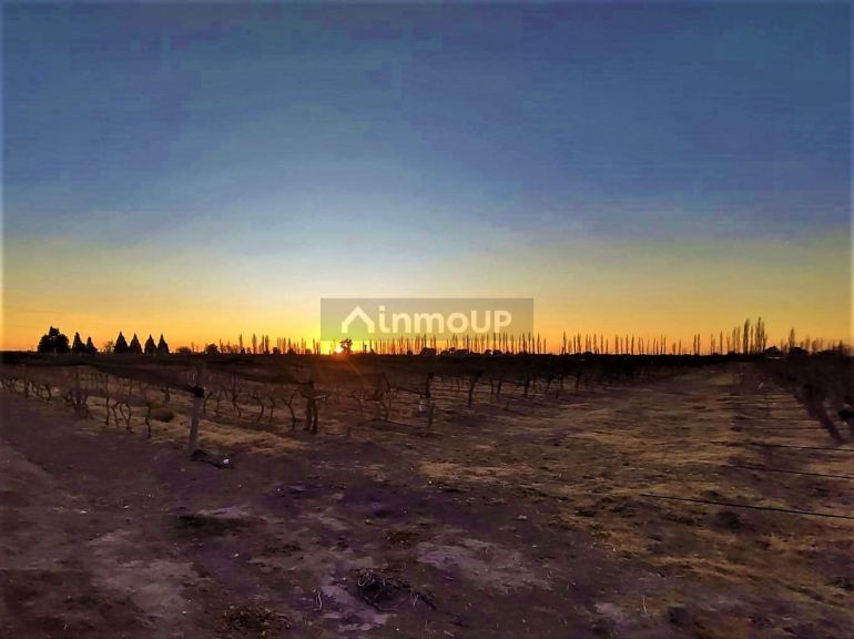 Finca en Venta en San Rafael, Mendoza