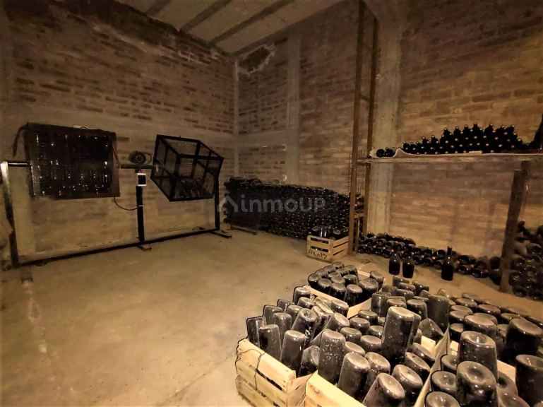 Finca en Venta en San Rafael, Mendoza