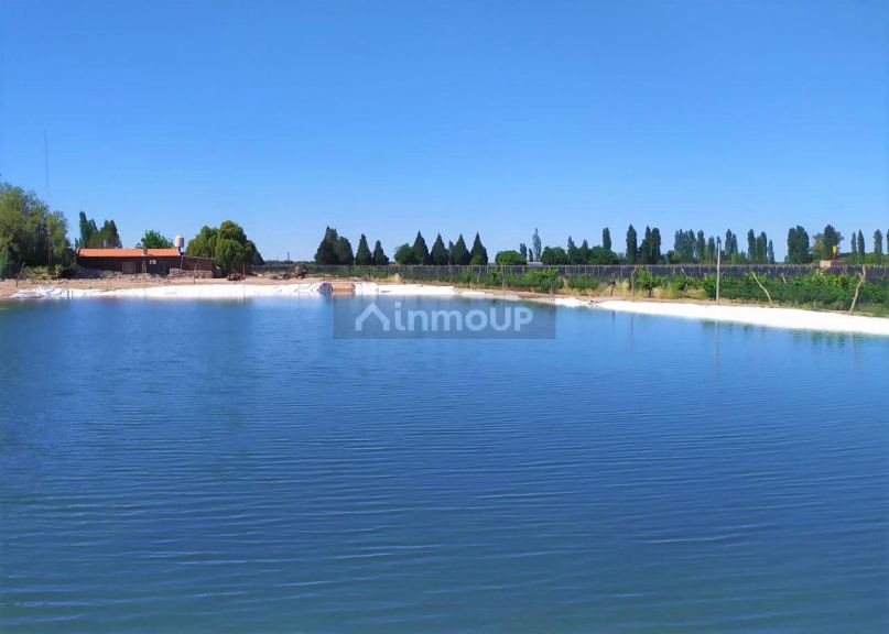 Finca en Venta en San Rafael, Mendoza