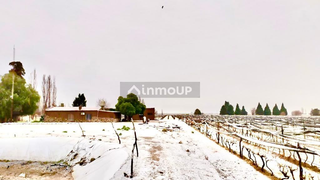 Finca en Venta en San Rafael, Mendoza