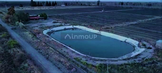 Finca en Venta en San Rafael, Mendoza
