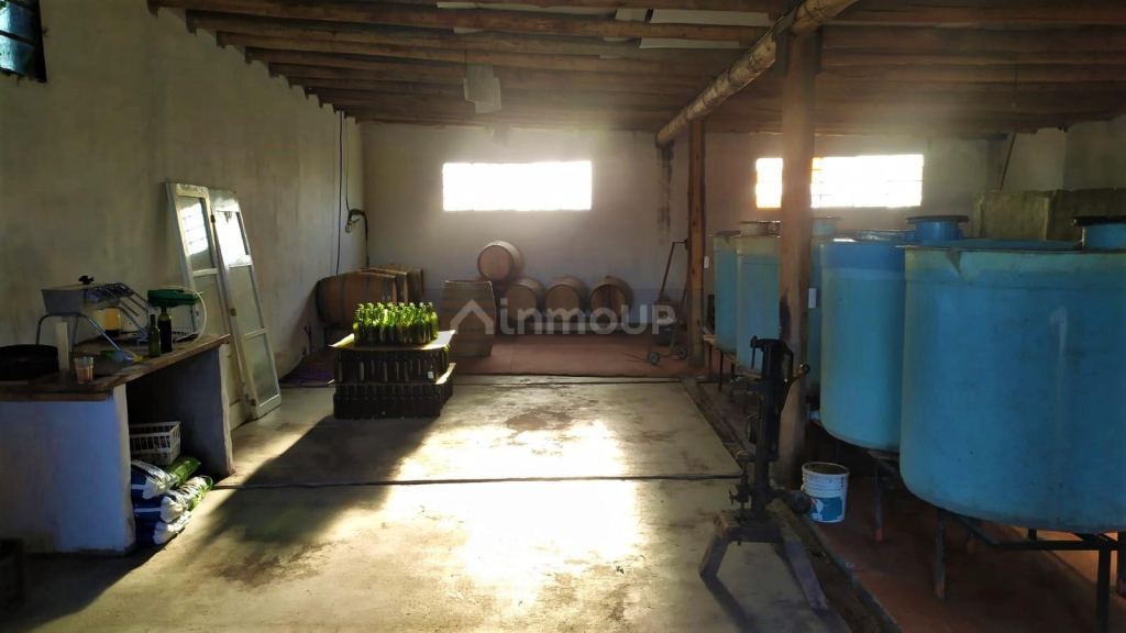 Finca en Venta en San Rafael, Mendoza