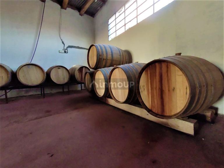 Finca en Venta en San Rafael, Mendoza